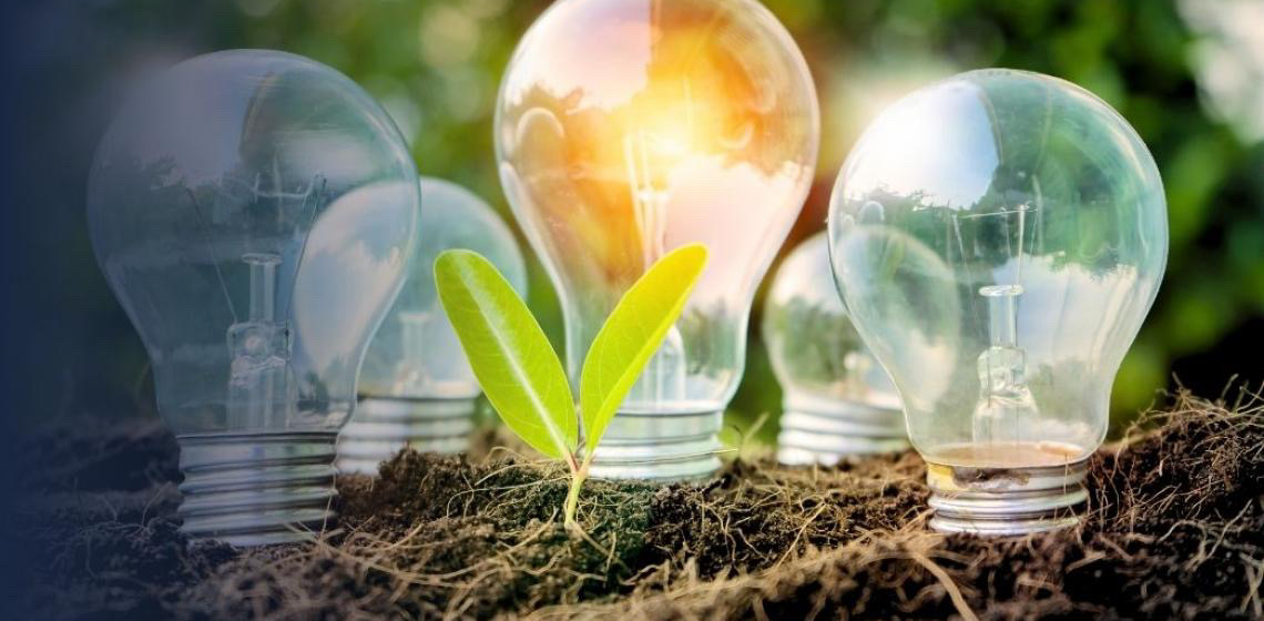 Embaixada da Alemanha inaugura exposição sobre transição energética na Biblioteca de Brasília
