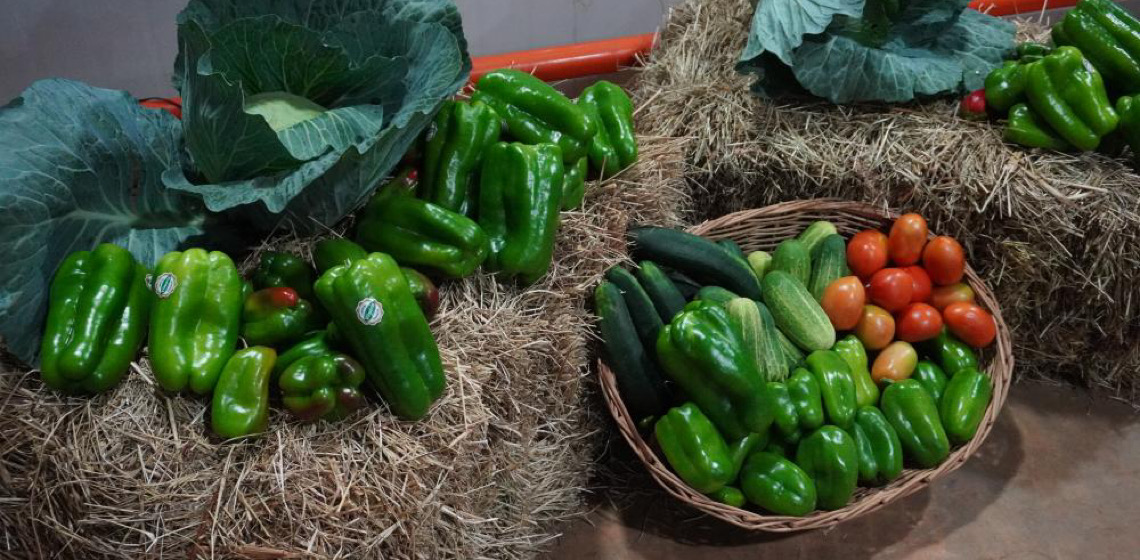 Abertura da 25ª Semana do Pimentão celebra importância do cooperativismo rural
