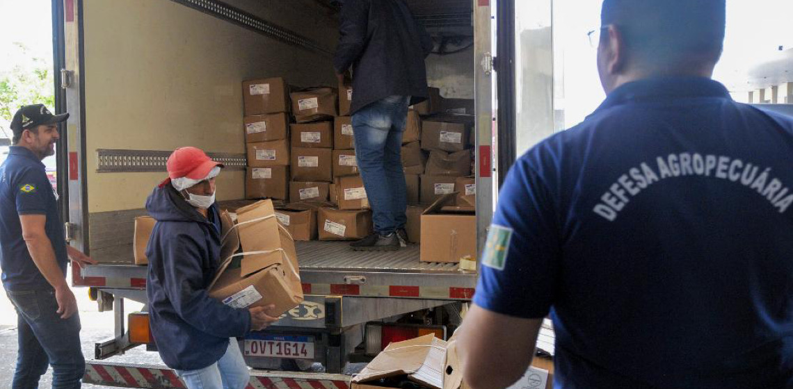 Banco de Alimentos recebe mais de 1,5 tonelada de pescados apreendidos em ações de fiscalização