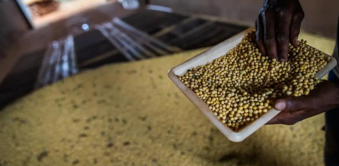 Sorriso, no MT, tem maior PIB agrícola do país; veja o ranking