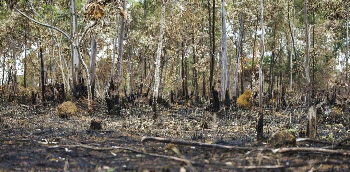 Ano de 2025 é quinto com maior área atingida por queimadas até agosto