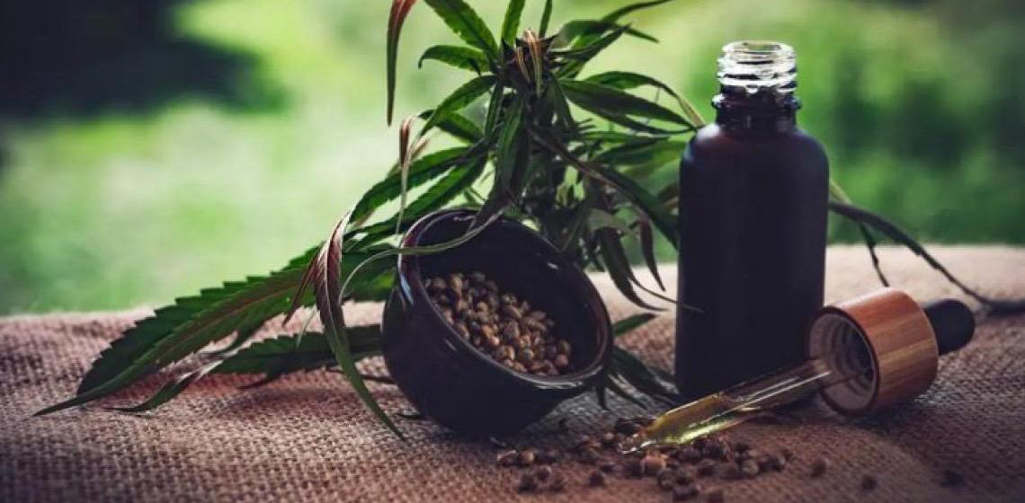 Relatório mostra como Brasil pode ser líder na produção de cânhamo e cannabis