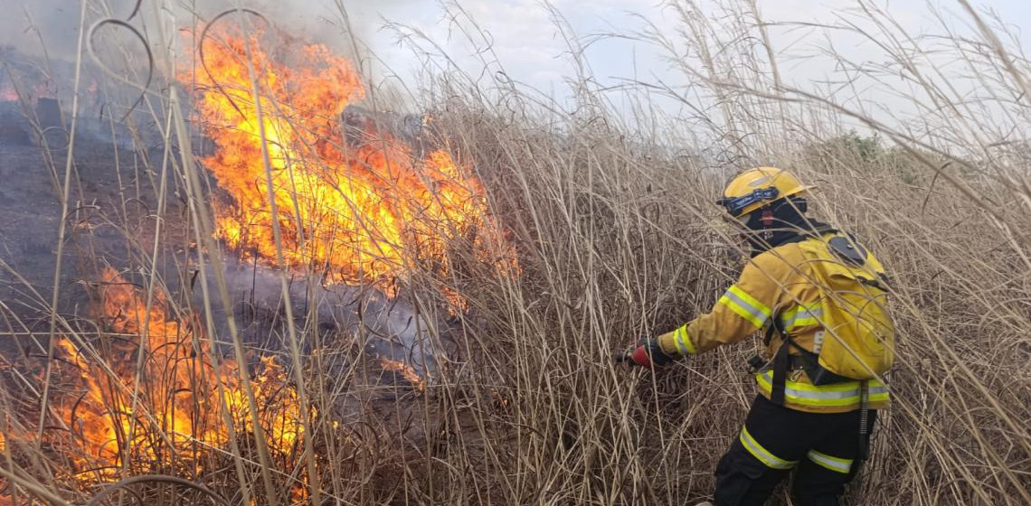ICMBio intensifica monitoramento e articulação para prevenir incêndios florestais no Distrito Federal