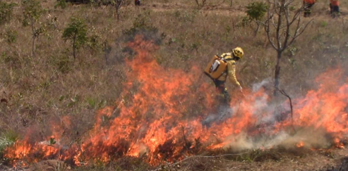 Pesquisa apoiada pela FAPDF analisa efeitos do combate químico a incêndios florestais