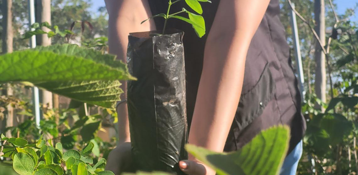 Disque-Cerrado chega ao Jardim Botânico para incentivar o plantio de árvores nativas