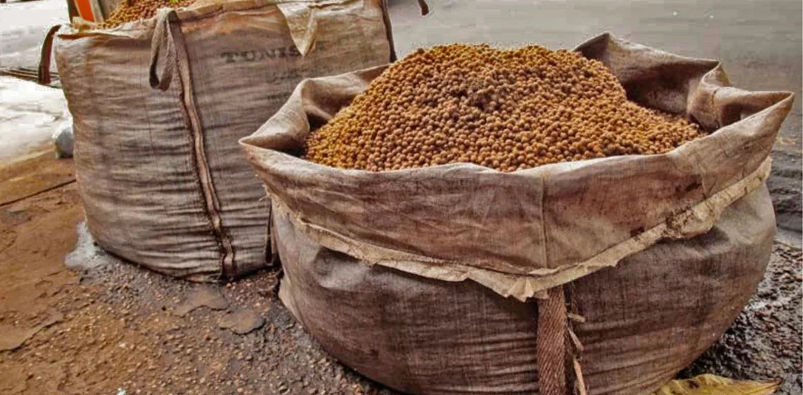 De resíduo a solução: Caroço de açaí vira placa térmica em projeto de escola em Belém