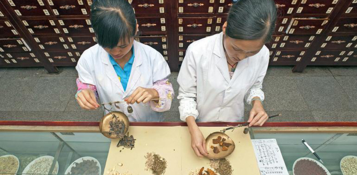 Dia Mundial da Vida Selvagem 2026 destaca plantas medicinais e aromática