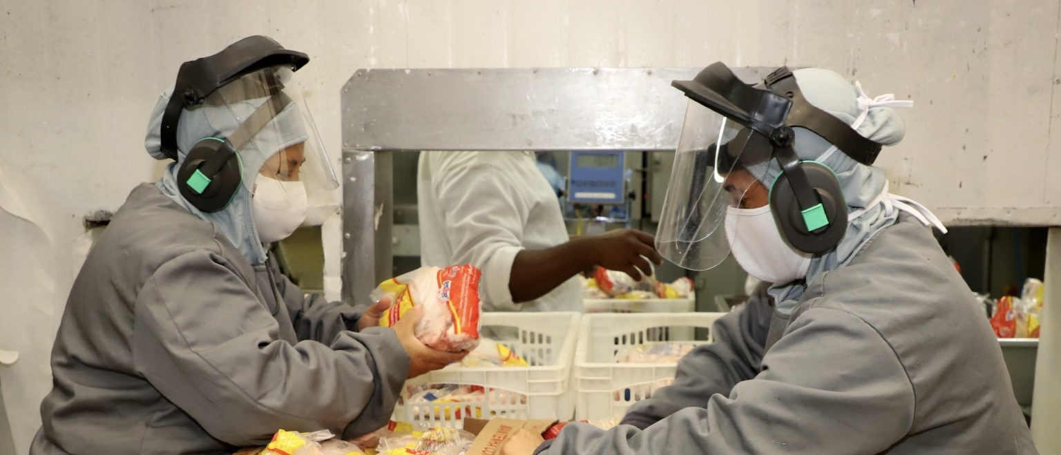Brasil exporta mais carne de frango ao Iraque