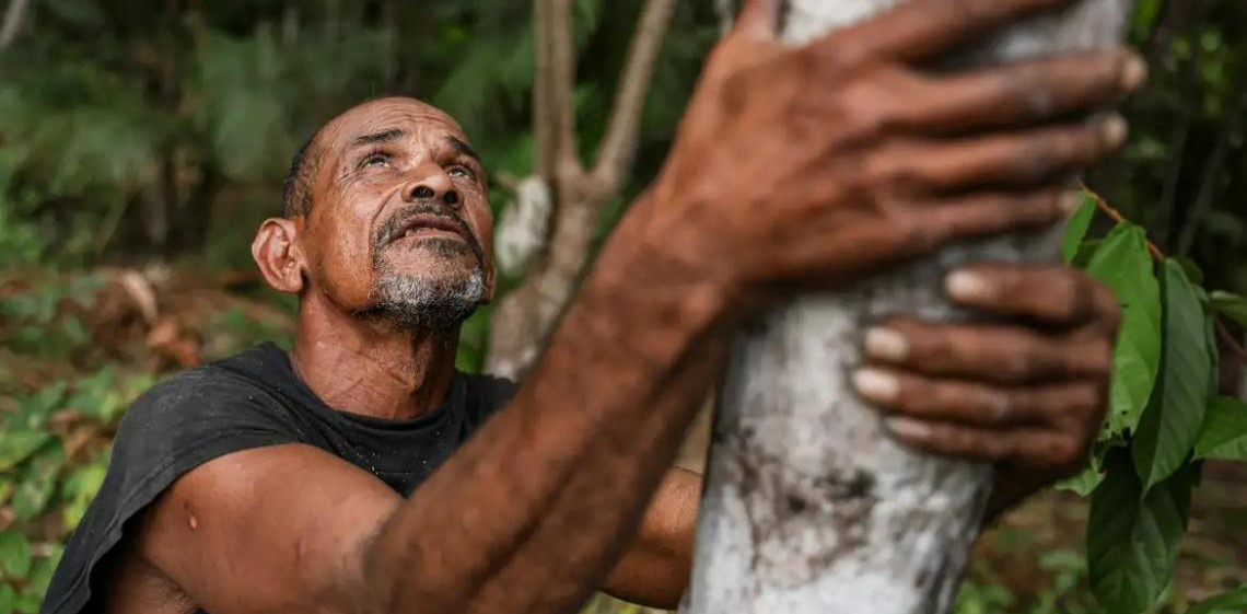 Projeto transforma áreas de queimada em produção sustentável no Marajó