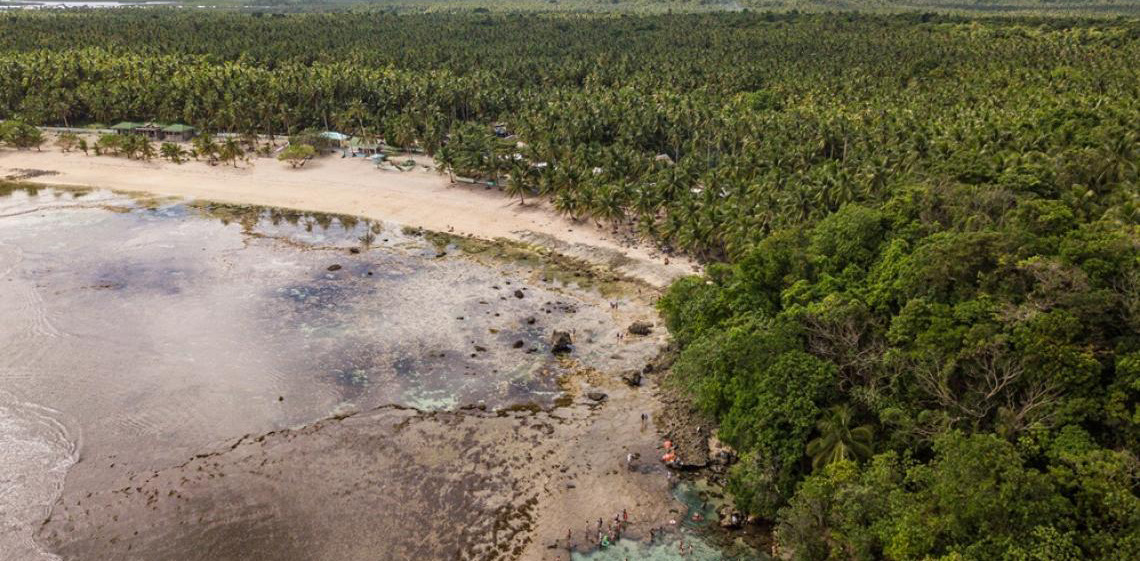 Brasil pode suprir demanda por bioenergia sem desmatar, aponta estudo