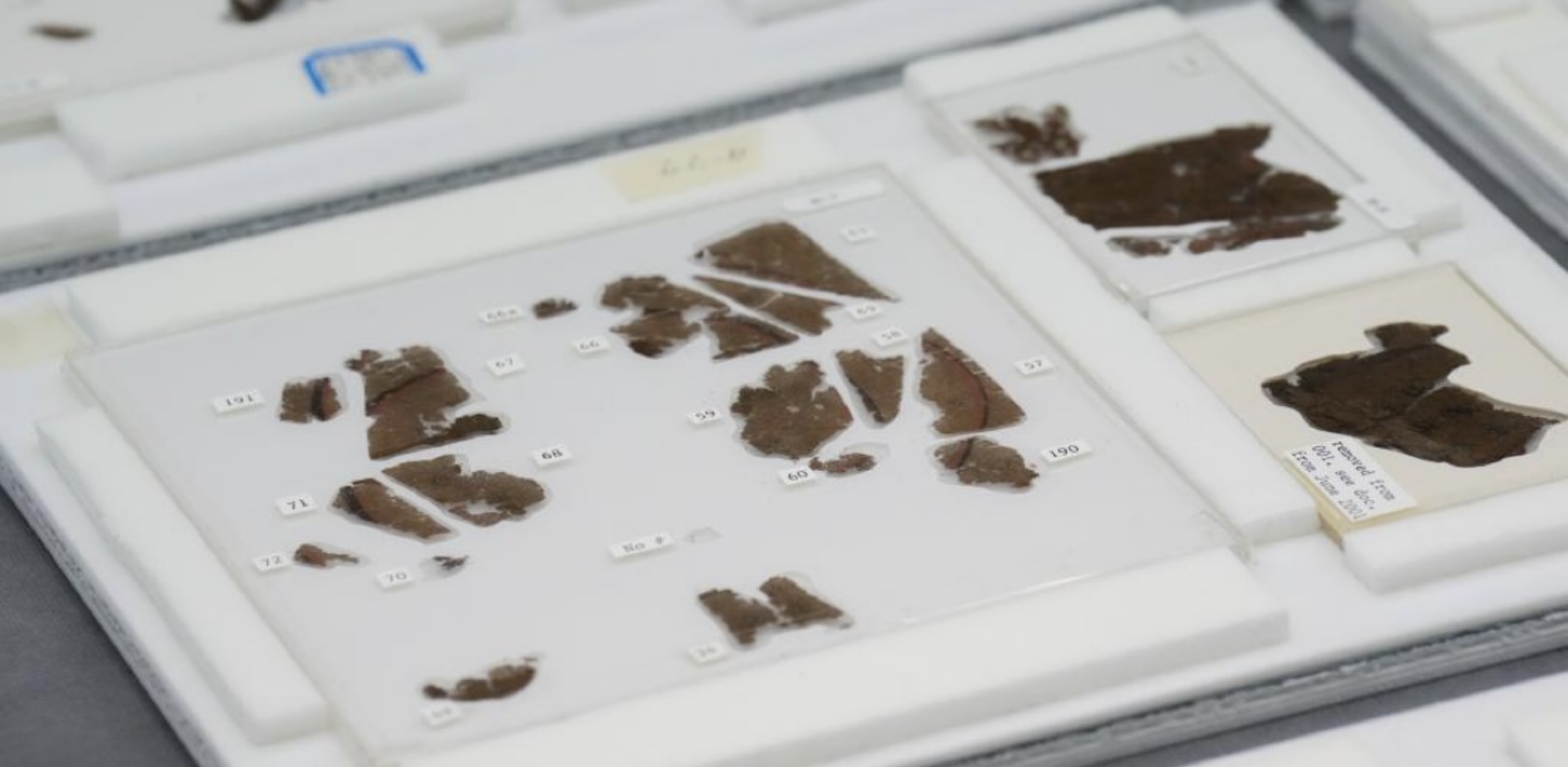 Manuscritos chineses de seda com 2.300 anos regressam a casa após quase oito décadas no exterior