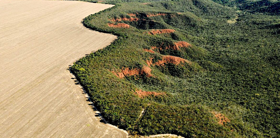 Agro defende derrubada de vetos do licenciamento ambiental às vésperas da COP30
