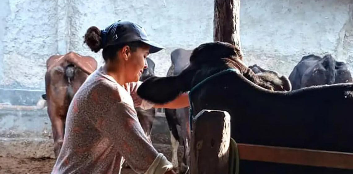 Mulheres rurais enfrentam informalidade e desigualdade no campo