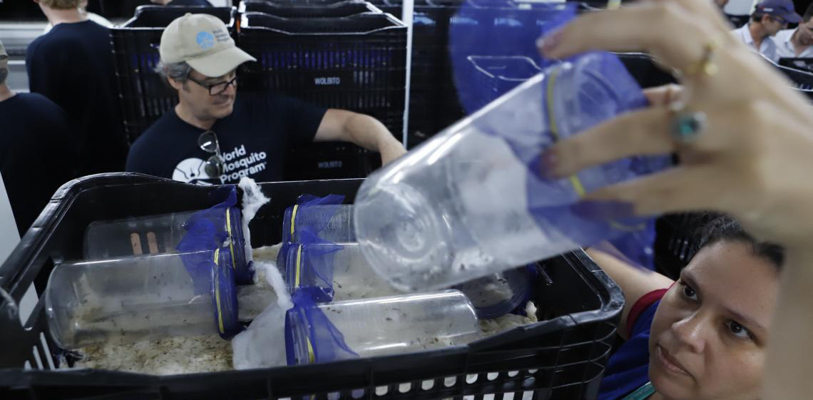 Delegação internacional visita biofábrica de wolbitos no Distrito Federal