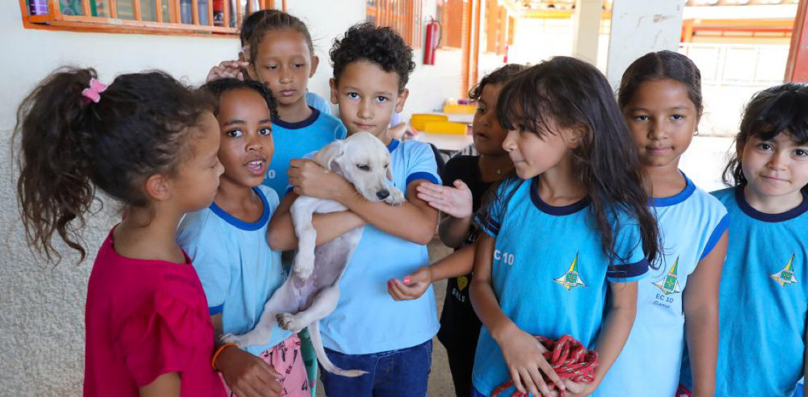 Escola do Gama adota cachorrinha resgatada pelo Castra DF e transforma rotina dos alunos