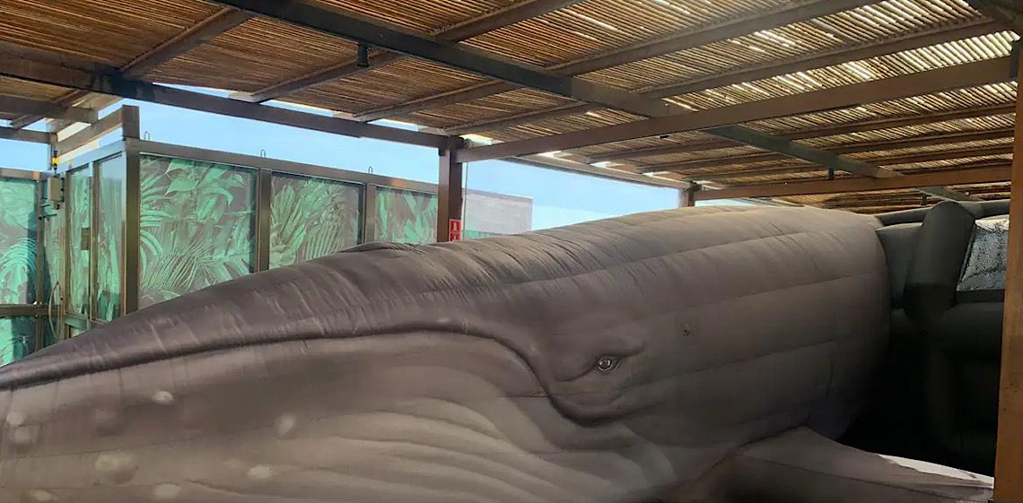 Jardim Botânico do Rio expõe réplica de jubarte por conscientização 