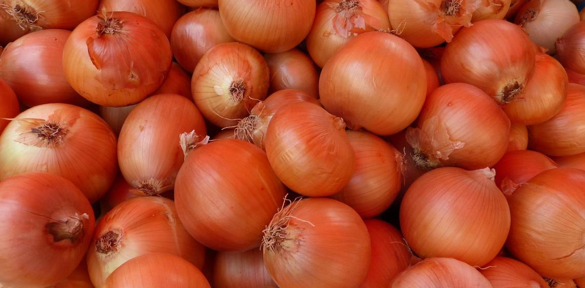 Preços de hortaliças seguem em queda nos mercados atacadistas