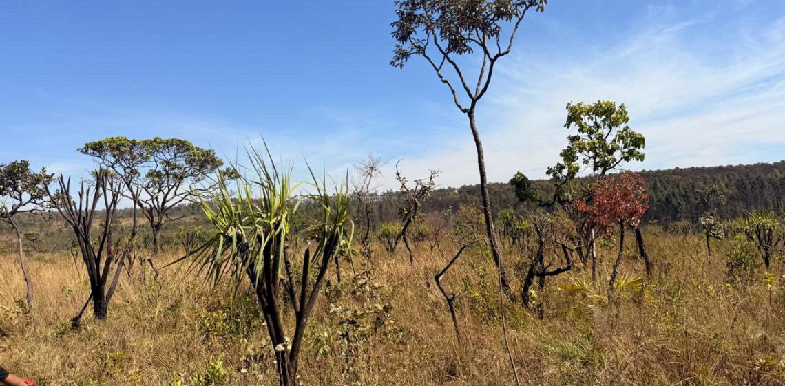 Distrito Federal participa da COP 30 como referência nacional em sustentabilidade e proteção ao Cerrado