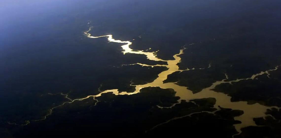 Captura de carbono na Amazônia está em risco, diz estudo