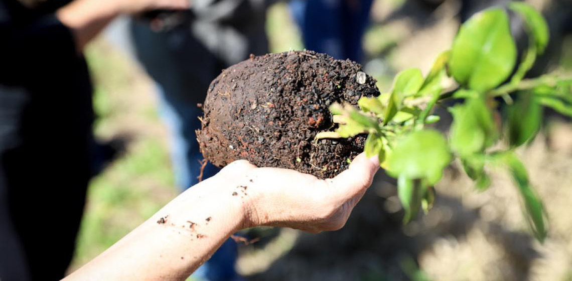 Comuá pelo Clima: Plataforma reúne soluções locais que enfrentam os impactos da crise climática no Brasil