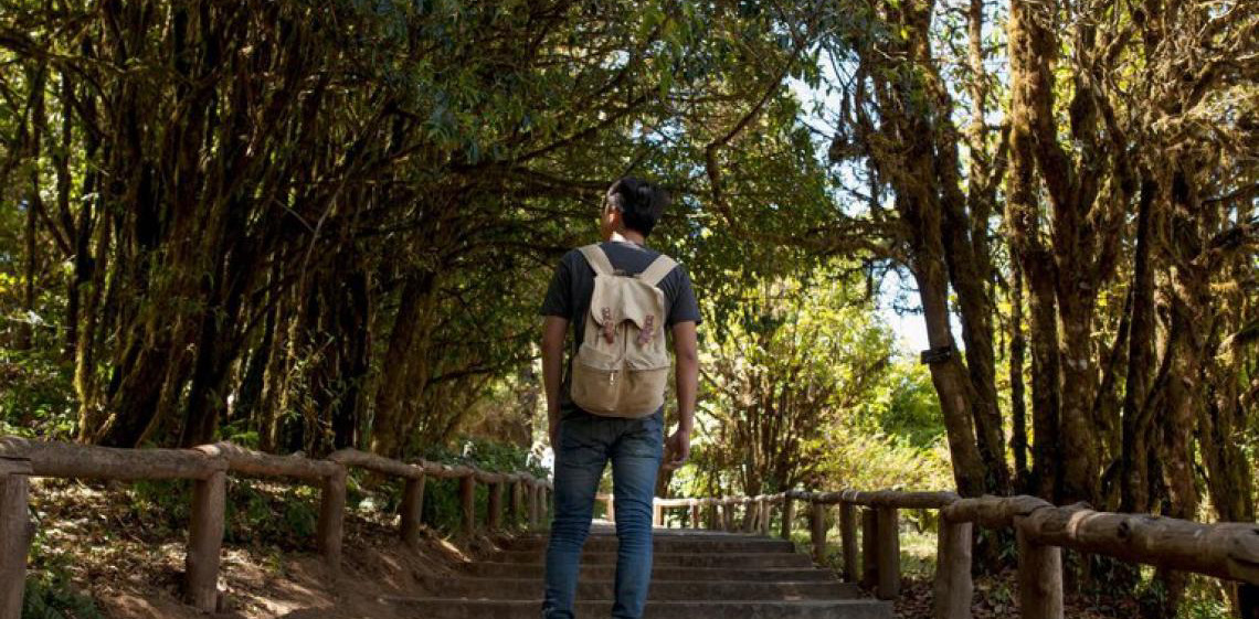 Ministério do Turismo fortalece ações em Parques Nacionais para promover o turismo sustentável