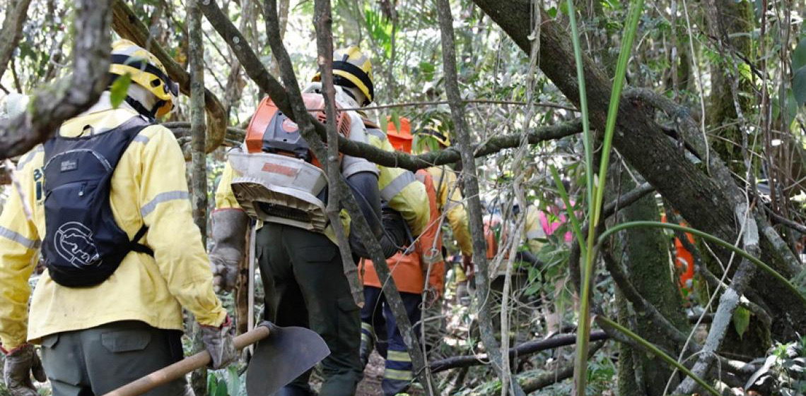 Projeto SEMFOGO-DF II amplia o monitoramento inteligente de incêndios florestais no Cerrado