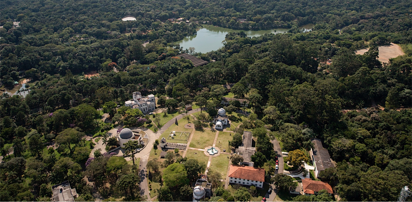 Projeto quer levar mata atlântica para o centro da cidade de São Paulo