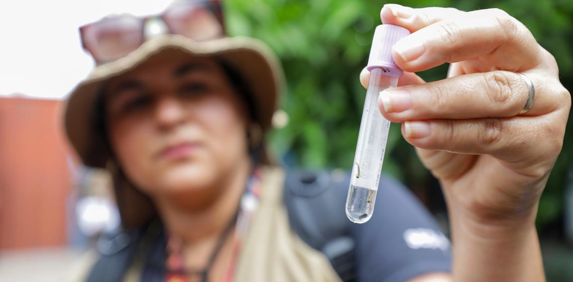 Período de chuvas no Distrito Federal exige atenção redobrada no combate ao Aedes aegypti