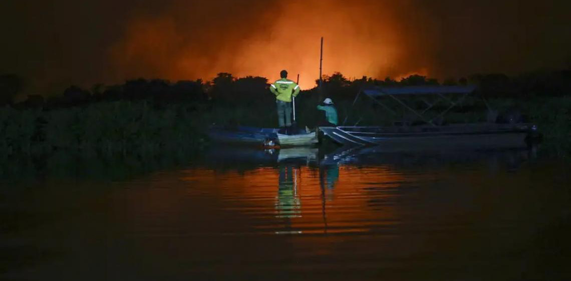 Com ICMBio, Brasil se destaca no palco global da conservação da biodiversidade