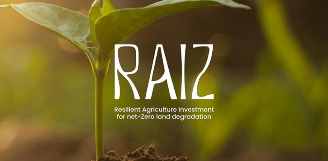 Brasil lança iniciativa global para recuperação de áreas degradadas durante a COP 30