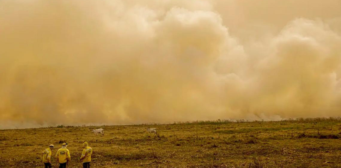 Calor já mata meio milhão de pessoas por ano, alertam cientistas
