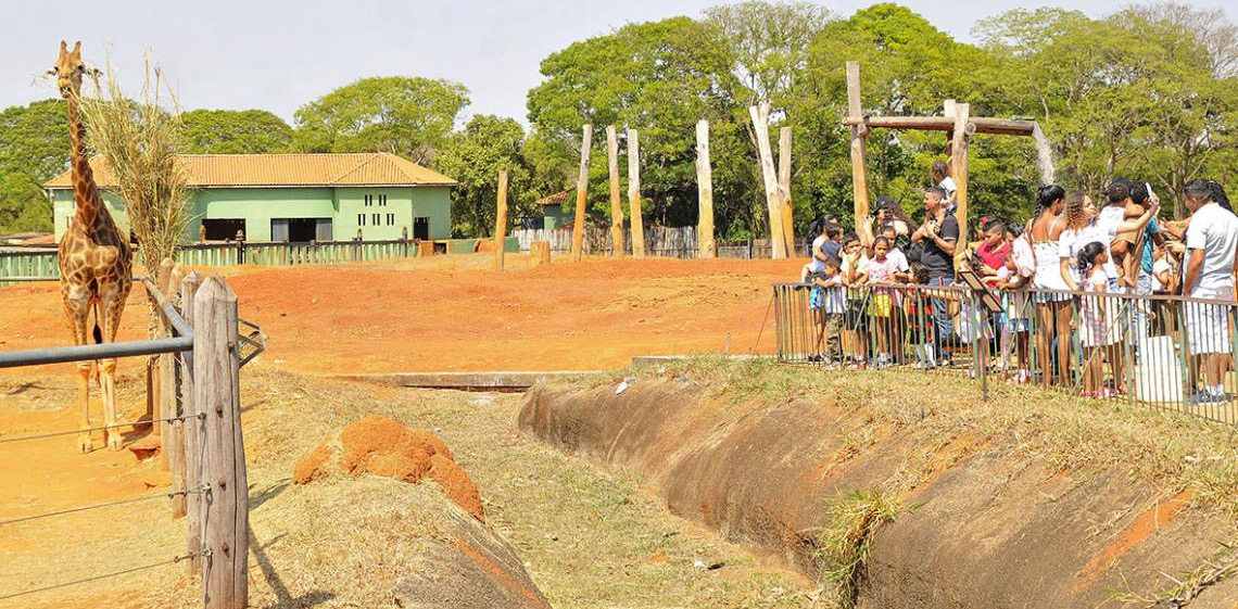 Saiba como será o funcionamento dos serviços públicos do DF no Dia de Finados
