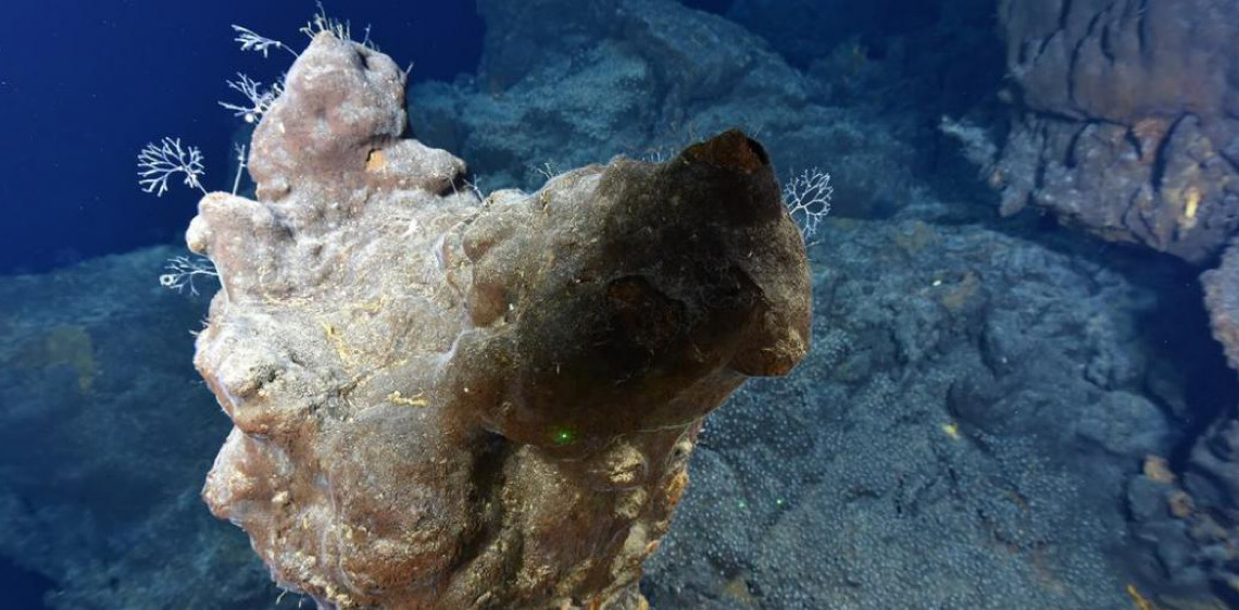 Mundo celebra primeiro Dia Internacional dos Fundos Marinhos Profundos