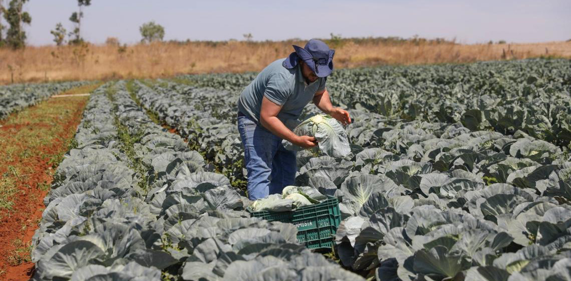 Governo do DF reforça crédito e investe mais de R$ 16 milhões no Fundo de Desenvolvimento Rural