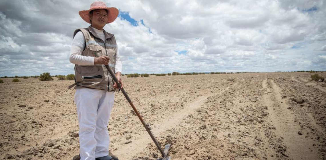 FAO: 1,7 bilhão de pessoas sofrem com redução do rendimento agrícola devido à degradação