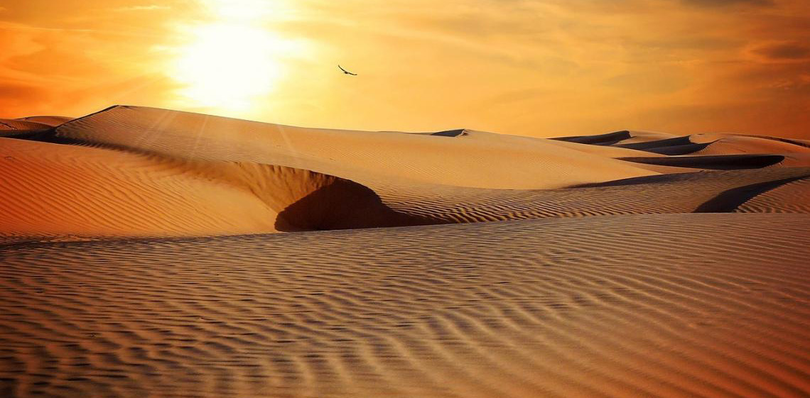 Pesquisa prevê mudanças no clima do Deserto do Saara nos próximos anos