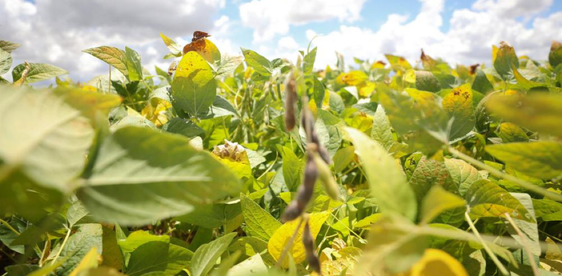 Boletim do Comércio Exterior do DF aponta crescimento no terceiro trimestre