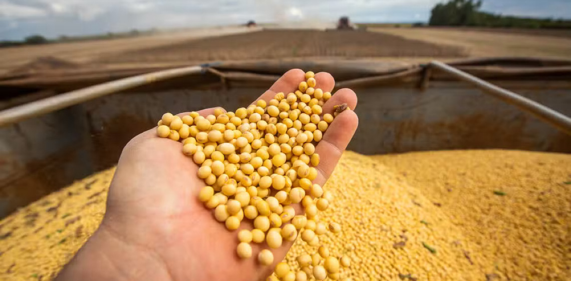 STF suspende todos os processos sobre Moratória da Soja