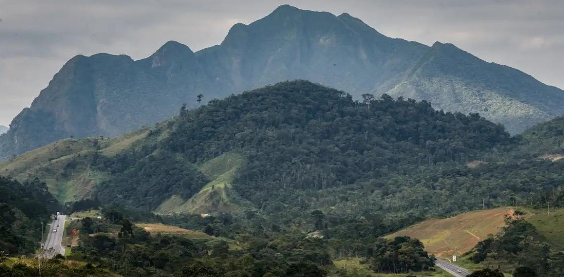 SOS Mata Atlântica mobiliza setor privado para conservação do bioma