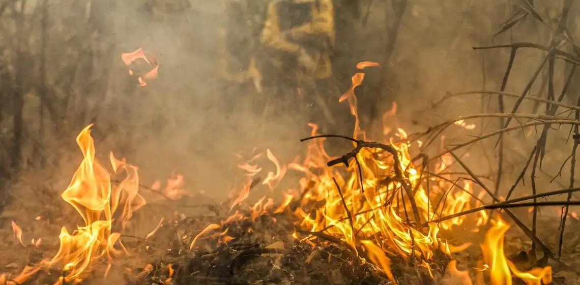 Pantanal é o bioma mais atingido pelo aumento da temperatura no país