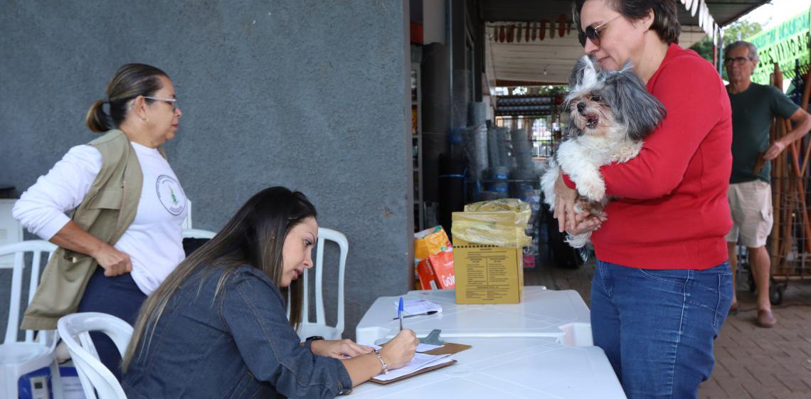 Campanha antirrábica: Saúde vacina 53 mil animais em outubro