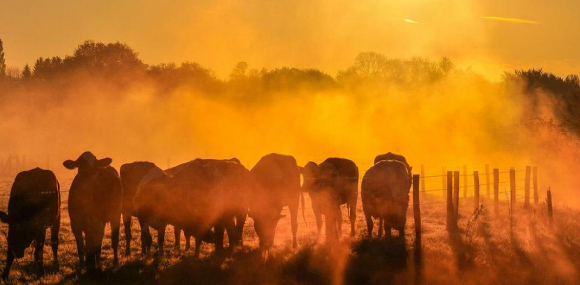Agência aponta 2025 como segundo ou terceiro ano mais quente já registrado