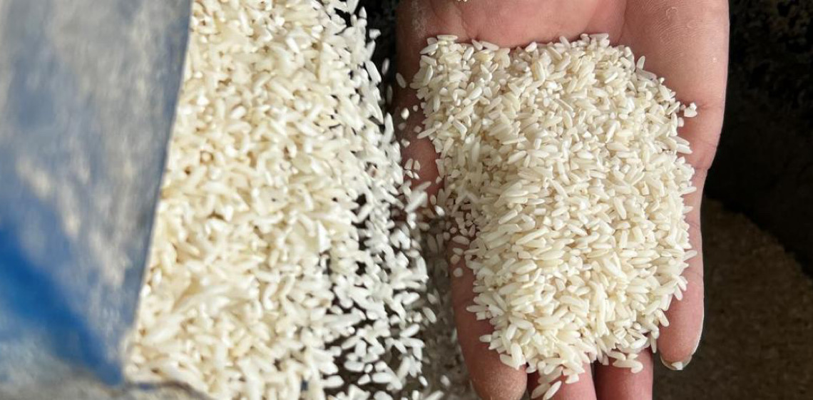 Preços dos alimentos caem em outubro com reservas recordes de cereais