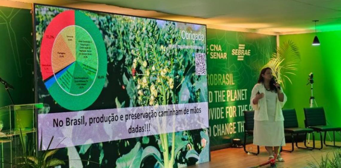 Maior parte da vegetação nativa do Brasil está em fazendas privadas, diz estudo da Embrapa