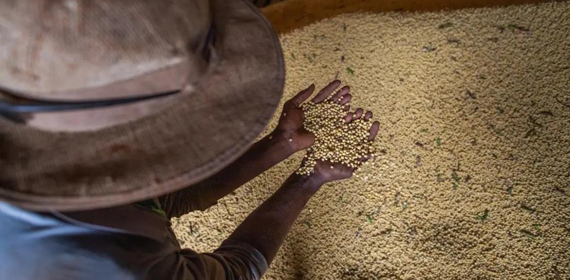 Livro aborda produção sustentável em meio à mudança climática