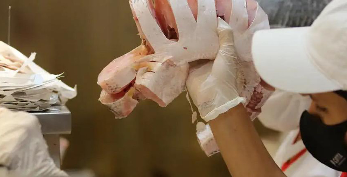 Dieta mediterrânea se mostra eficiente no controle da síndrome do intestino irritável, aponta estudo