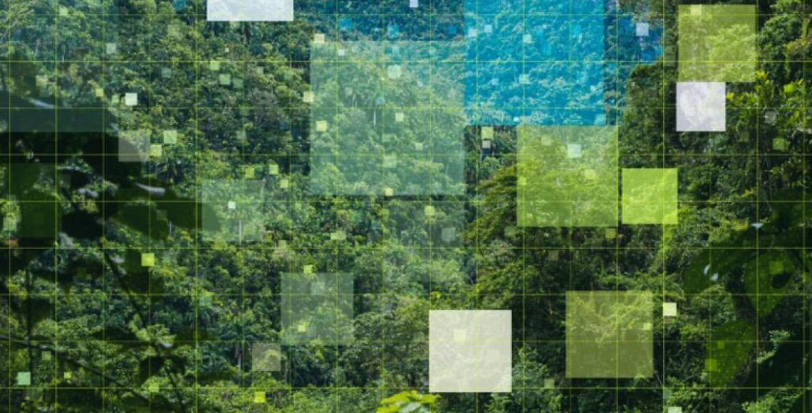 Plataforma reúne agentes públicos e mercado para indicar investimentos em bioeconomia