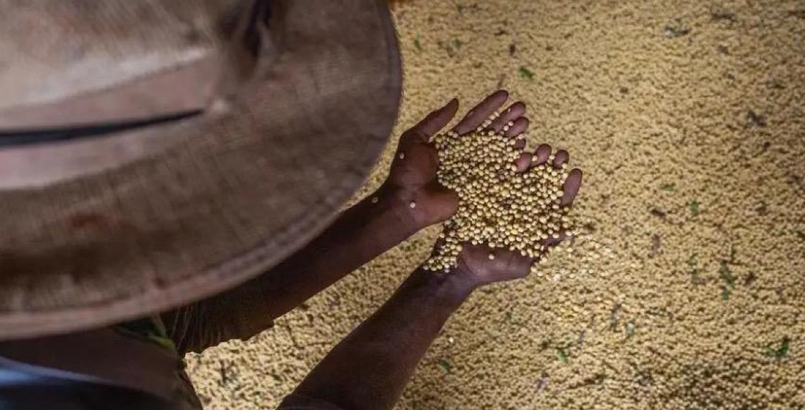 Livro aborda produção sustentável em meio à mudança climática