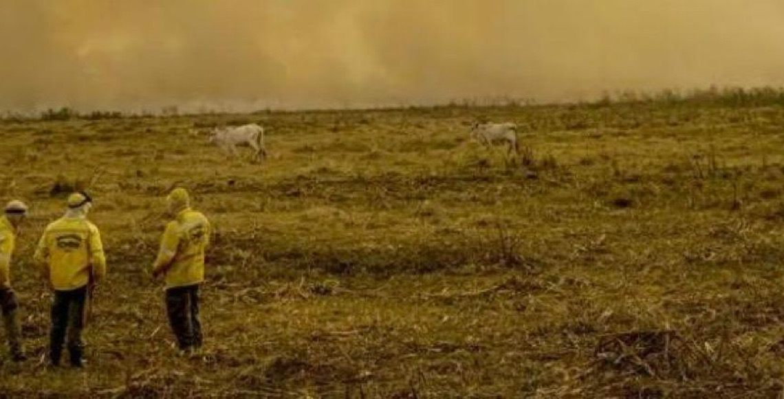 Pesquisa Cultura e Clima mostra ligação entre cultura e clima no Brasil