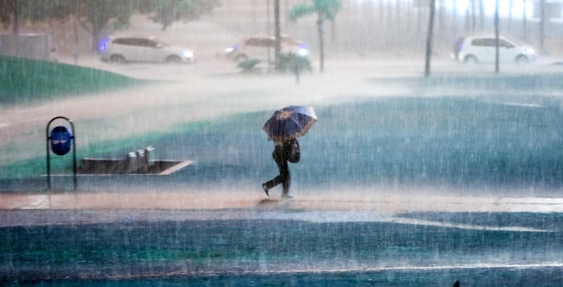 Chuvas à vista: Secretaria de Saúde-SES-DF reforça cuidados contra a leptospirose